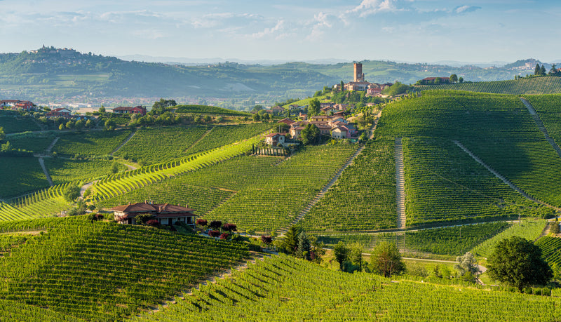 Barbaresco
