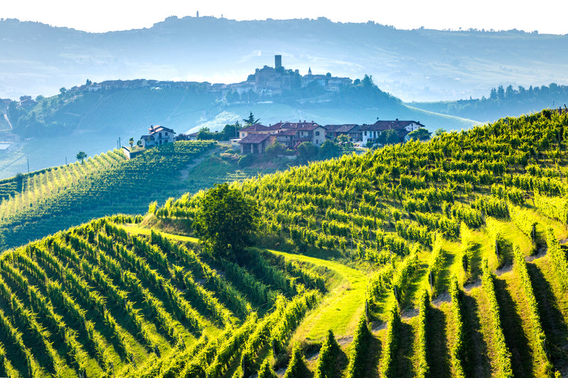 Barolo
