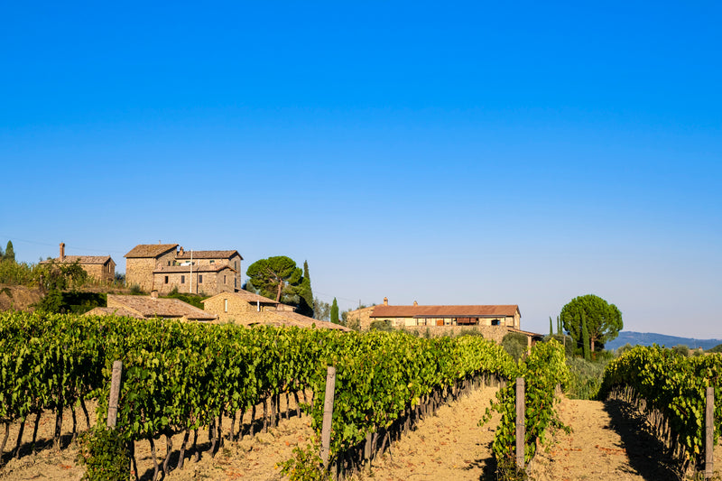 Brunnello di Montalcino